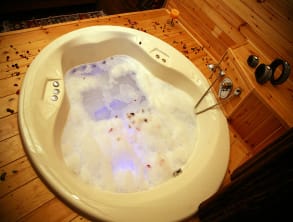 מקום%20לחלום%20,%20ציפורי